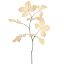 BEECH LEAVES 103CM BEIGE