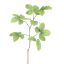 BEECH LEAVES 103CM GREEN