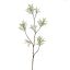 12510140-sage.jpg