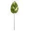 MEDIUM LEAF 54CM POTHOS