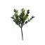 BOXWOOD LEAVES PICK X 3 GREEN