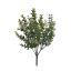 EUCALYPTUS BUSH X 7 34CM GREEN