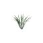 PLASTIC GRASS ->24046 AS SAMPLE