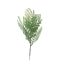 FERN PICK W/5 LVS W/POWDER TWO TONE GREEN