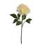 SINGLE OPEN PEONY 57CM YELLOW
