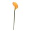 SINGLE CALLA YELLOW