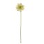 LARGE GERBERA 61CM GREEN