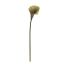 MEDIUM CALLA GREEN