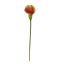 LARGE CALLA 100CM GREEN BROWN