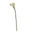LARGE CALLA 100CM WHITE