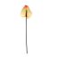 SINGLE MEDIUM FLAMING 75CM PEACH