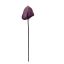 SINGLE MEDIUM FLAMING 75CM VIOLET