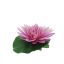 MEDIUM LOTUS HEAD LAVENDER