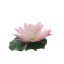 MEDIUM LOTUS HEAD PINK