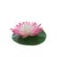 LARGE LOTUS HEAD PINK