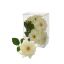 MINI ROSE HEAD X 9 IN PVC GIFTBOX CREAM