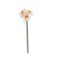 DAFFODIL SPRAY 60CM CREAM ORANGE