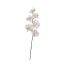 SINGLE ORCHID 57CM CREAM