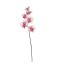 SINGLE ORCHID 57CM CREAM PINK