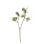 SWEET PEA PICK X 2 45CM GREEN