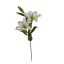 TIGERLILY SPRAY X 3 86CM CREAM