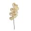 SINGLE ORCHID LIGHT GREEN
