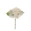 SHORTSTEM HYDRANGEA 40CM CREAM