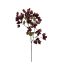 BOUGANVILLIA SPRAY 91CM VIOLET