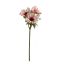 ANEMONE SPRAY X 3 45CM PEACH
