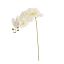 SINGLE ORCHID 107CM CREAM