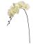 ORCHID W/7 FLOWER 87CM GREEN