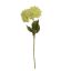 SINGLE HYDRANGEA 68CM GREEN