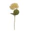 SINGLE HYDRANGEA 68CM PEACH
