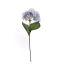 SINGLE HYDRANGEA BLUE