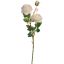 ROSE SPRAY X 3 62CM CREAM