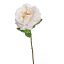 LARGE OPEN ROSE 45CM CREAM