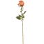 ROSEBUD 63CM ORANGE