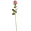 ROSEBUD 63CM PINK