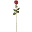 ROSEBUD 63CM RED