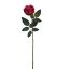 ROSE BUD 69CM BEAUTY