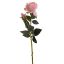 ROSE BUD 69CM PINK