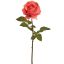 OPEN ROSE 53CM CORAL