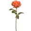 OPEN ROSE 53CM ORANGE