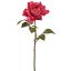 VELVET OPEN ROSE 52CM BEAUTY
