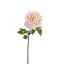 LARGE OPEN ROSE 53CM CREAM