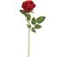 SINGLE ROSE 50CM RED