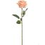 SINGLE ROSE 50CM PEACH