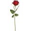 SINGLE ROSE 50CM RED