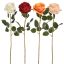 ROSE 70CM ASSORTED