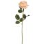 ROSE 70CM PEACH